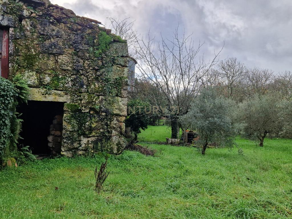 Moradia para reconstrução - Image 4