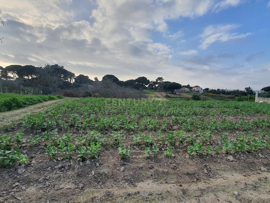 Terreno no meco para apoio agricola ou empreendimento turistico. - Image 10