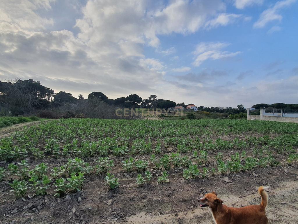 Terreno no meco para apoio agricola ou empreendimento turistico. - Image 8
