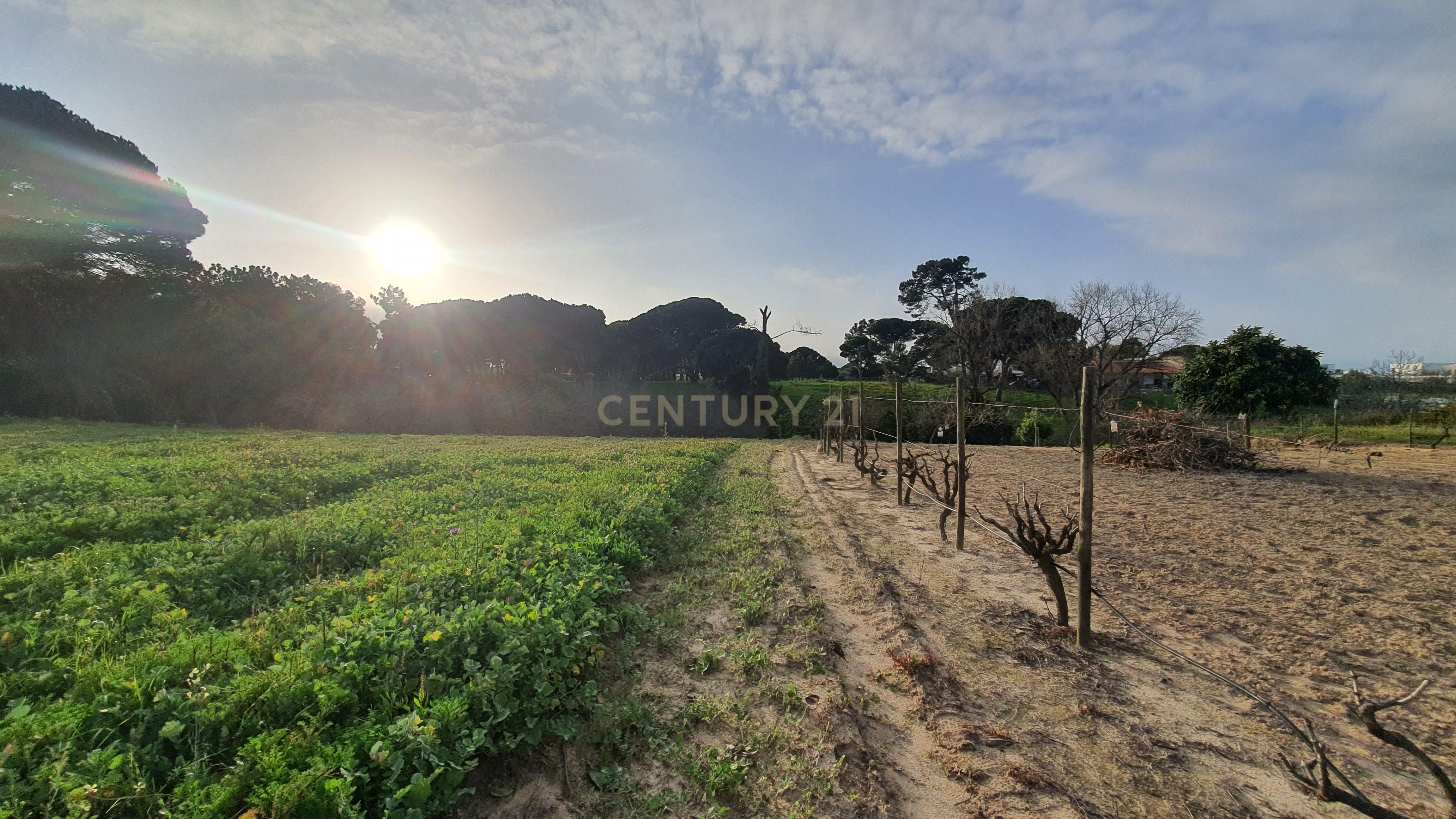 Terreno no meco para apoio agricola ou empreendimento turistico. - Image 12