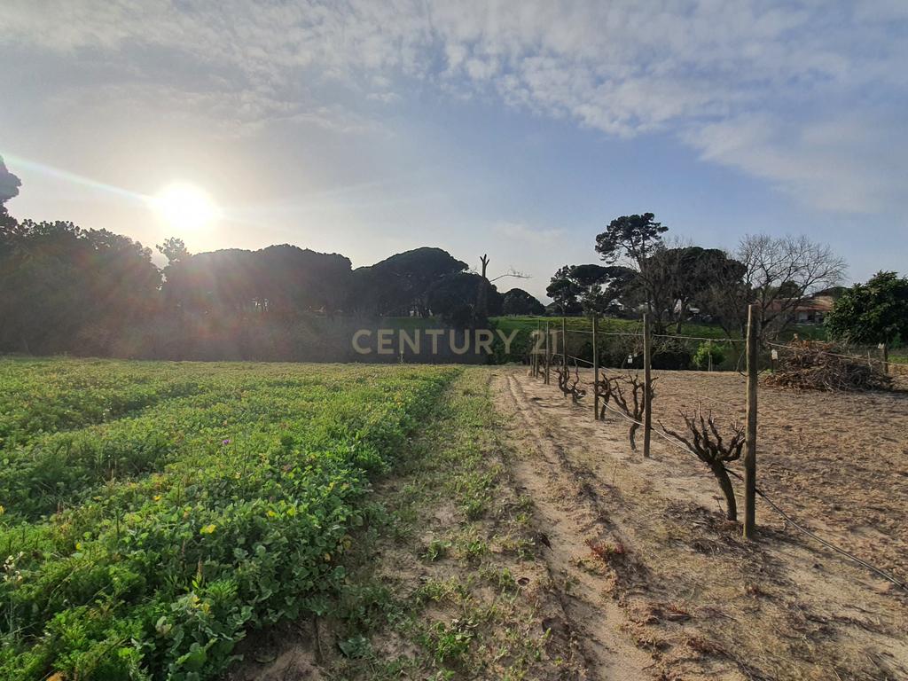 Terreno no meco para apoio agricola ou empreendimento turistico. - Image 12