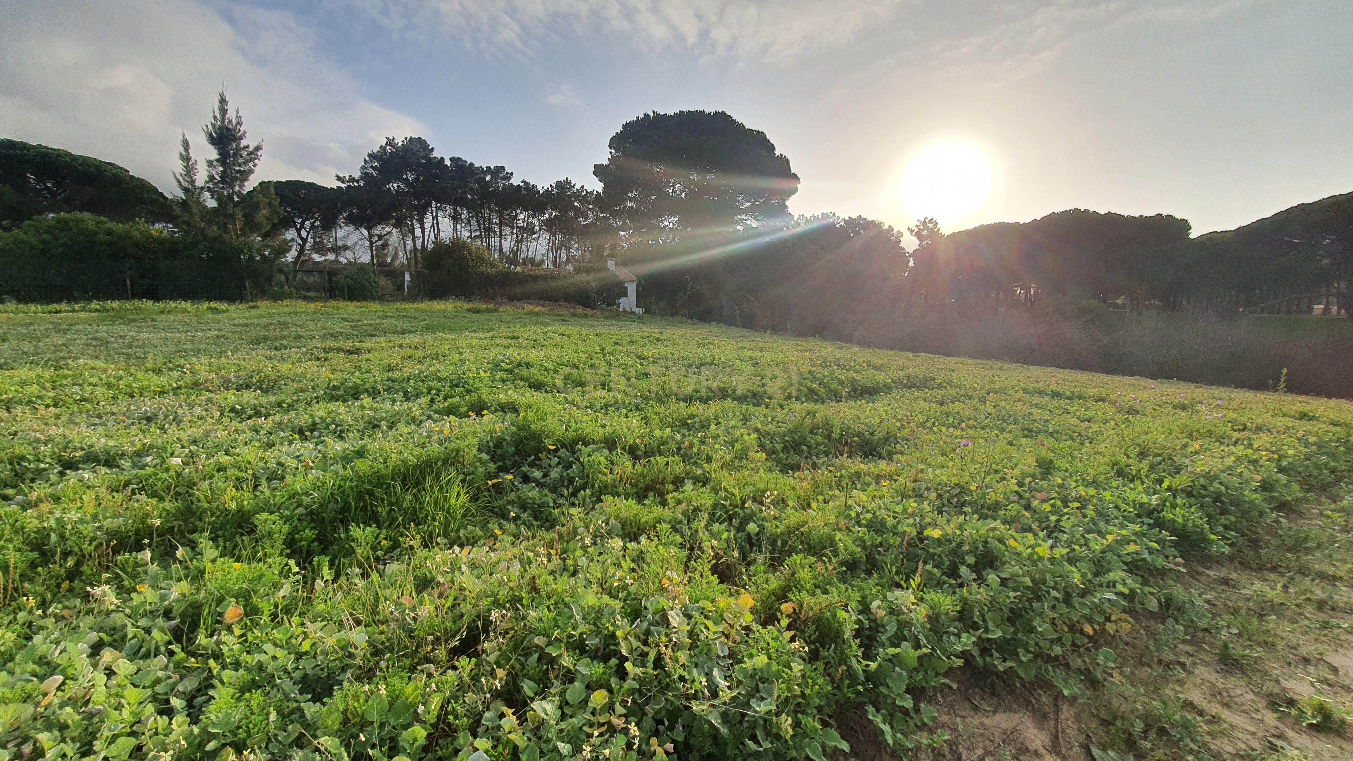 Terreno no meco para apoio agricola ou empreendimento turistico. - Image 11