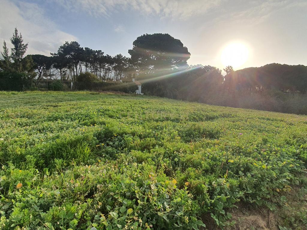 Terreno no meco para apoio agricola ou empreendimento turistico. - Image 11