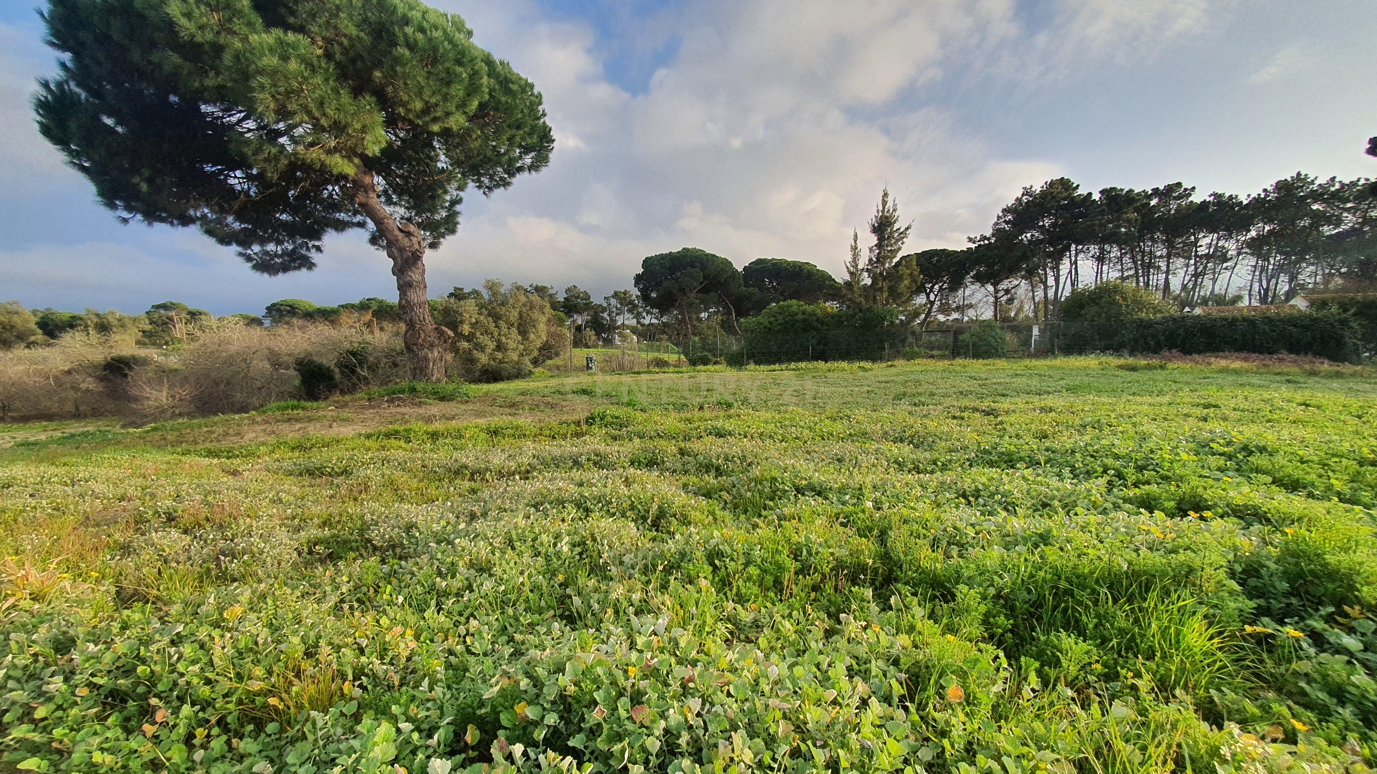Terreno no meco para apoio agricola ou empreendimento turistico. - Image 3