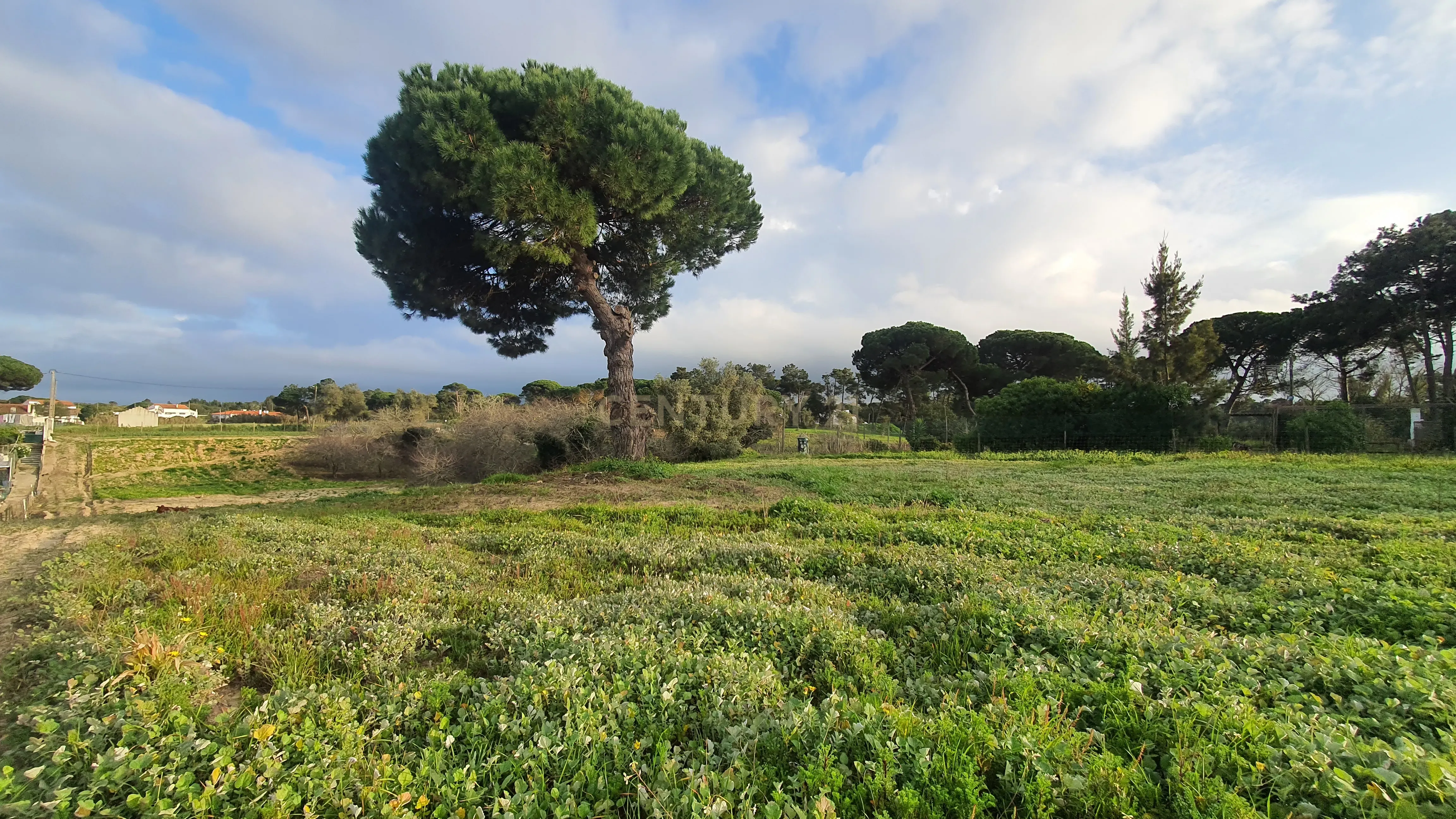 Terreno no meco para apoio agricola ou empreendimento turistico. - Image 1