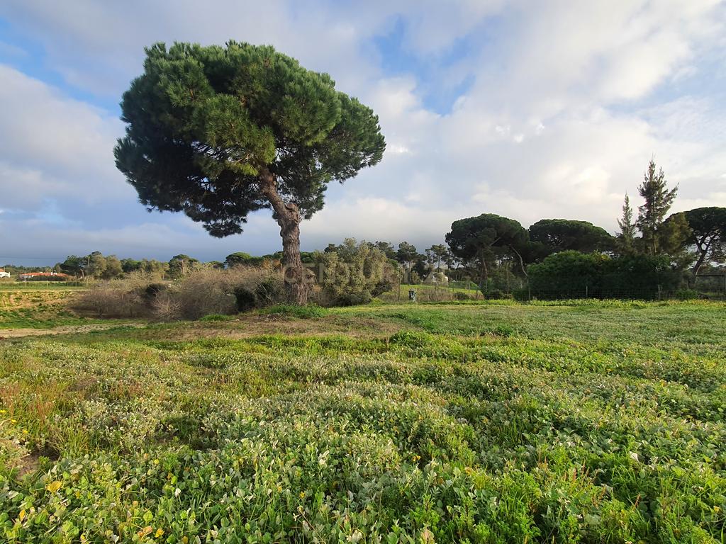 Terreno no meco para apoio agricola ou empreendimento turistico. - Image 1