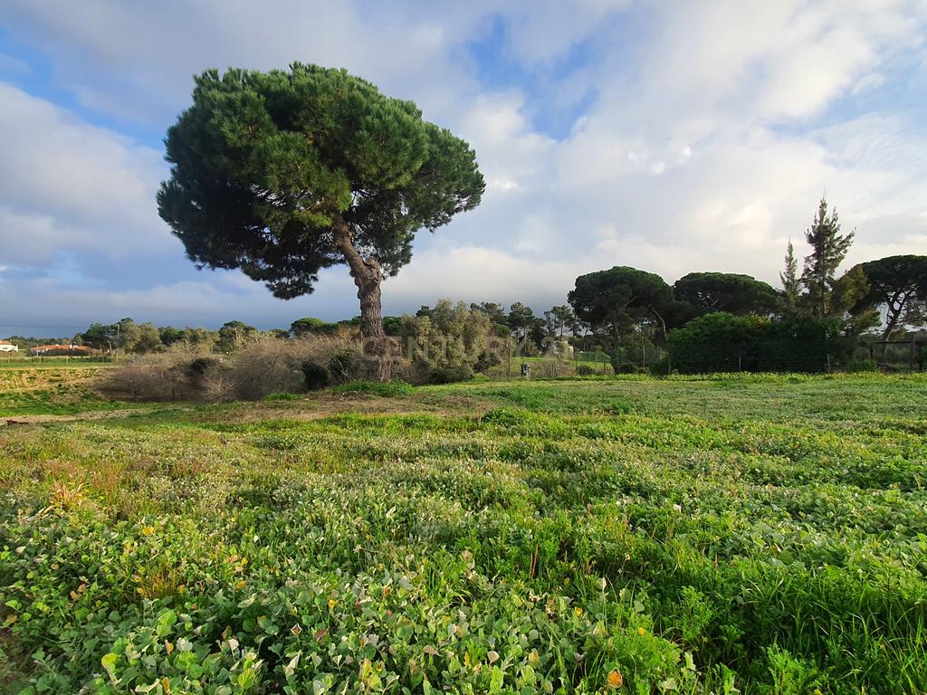Terreno no meco para apoio agricola ou empreendimento turistico. - Image 9