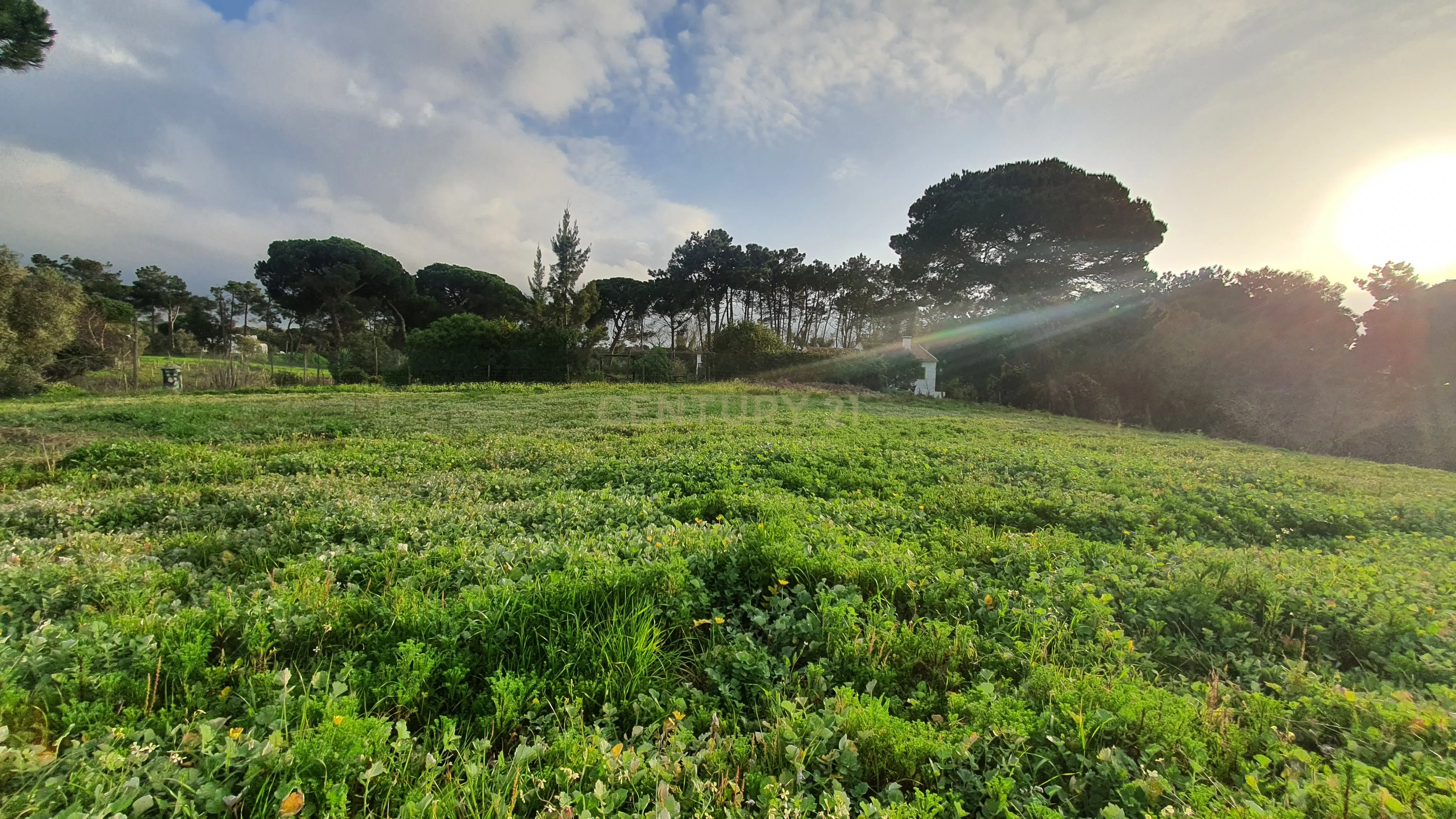 Terreno no meco para apoio agricola ou empreendimento turistico. - Image 6