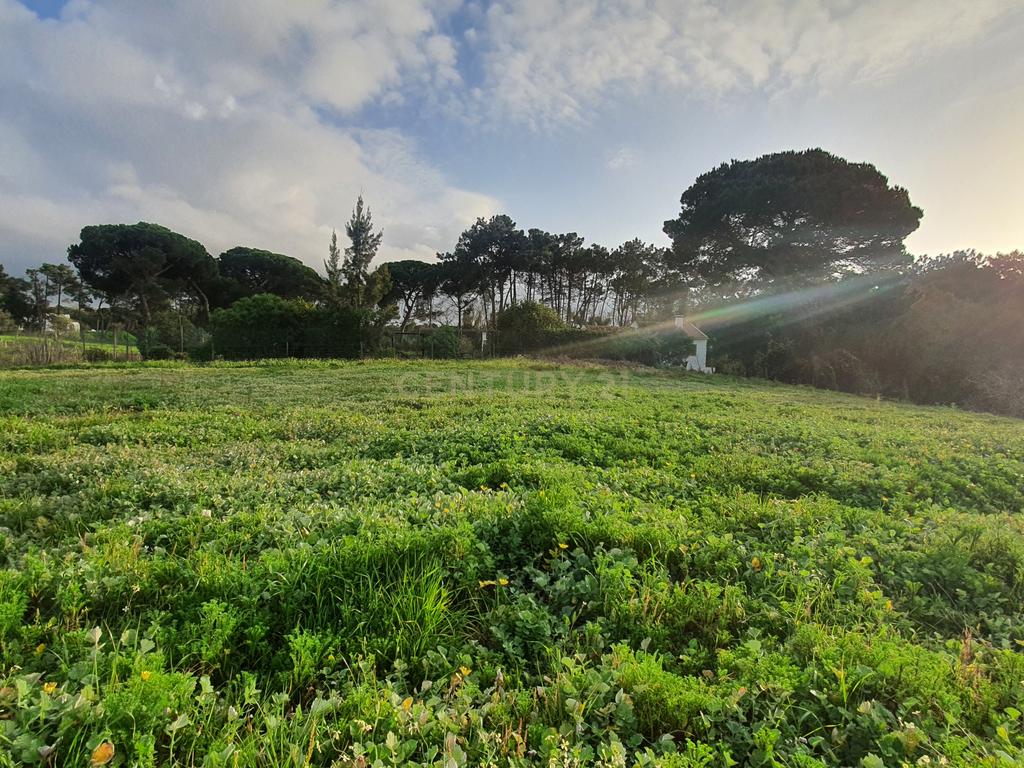 Terreno no meco para apoio agricola ou empreendimento turistico. - Image 6