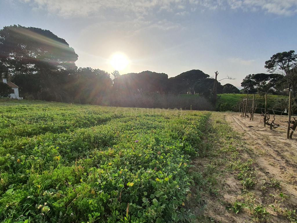 Terreno no meco para apoio agricola ou empreendimento turistico. - Image 7