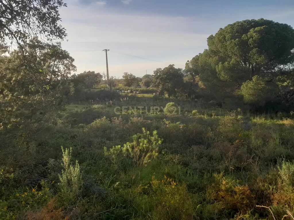 Terreno Zona Calma - Image 17