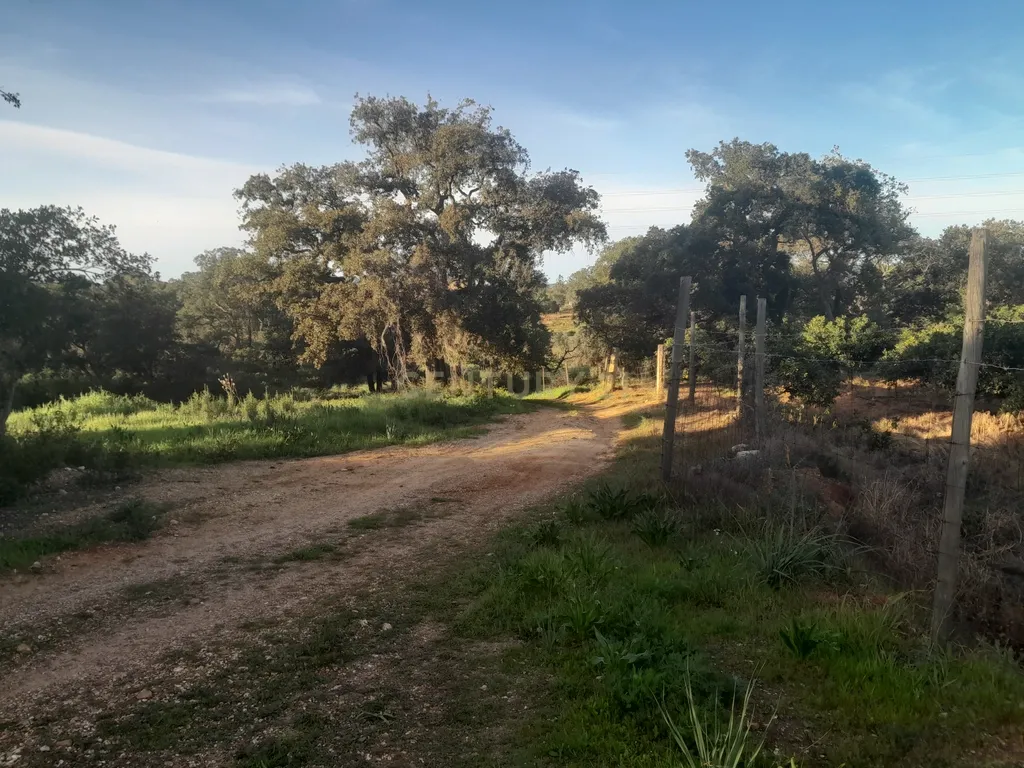 Terreno Zona Calma - Image 10