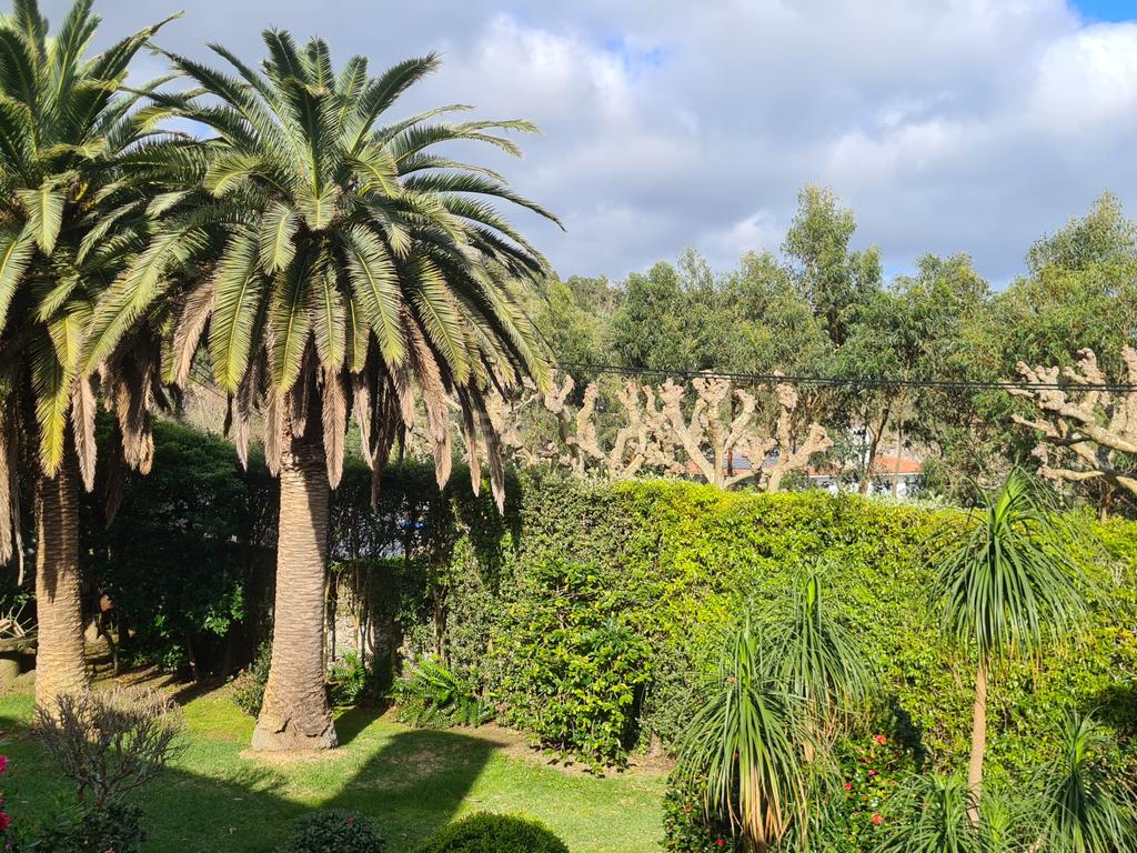 Propriedade Exclusiva na Caloura, São Miguel – Localização Privilegiada com Licença AL - Image 8