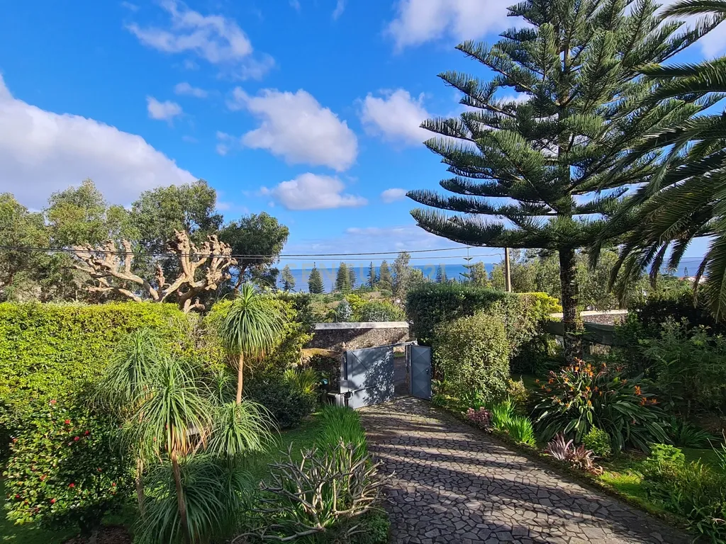 Propriedade Exclusiva na Caloura, São Miguel – Localização Privilegiada com Licença AL - Image 11