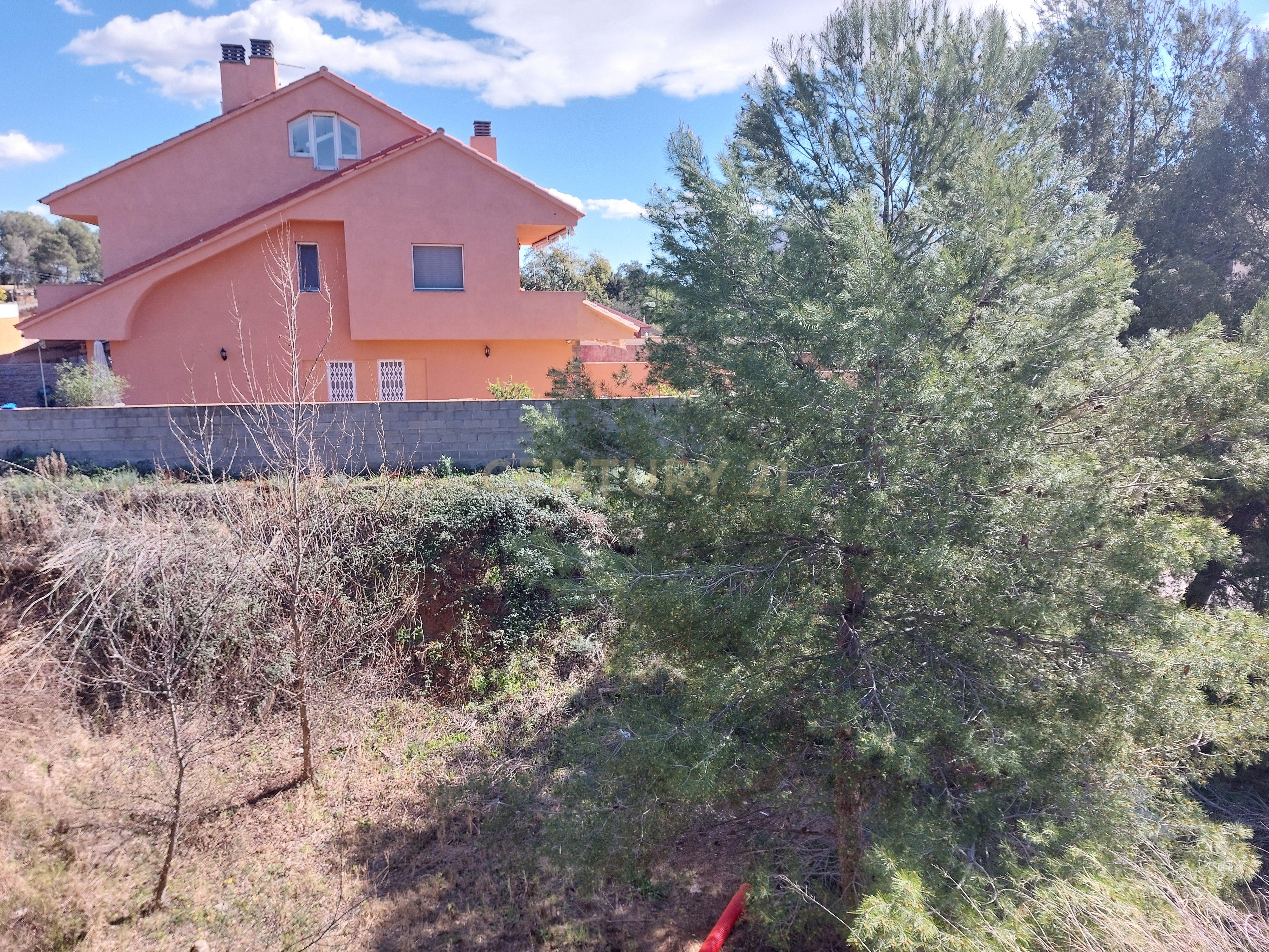 undefined - Image 14