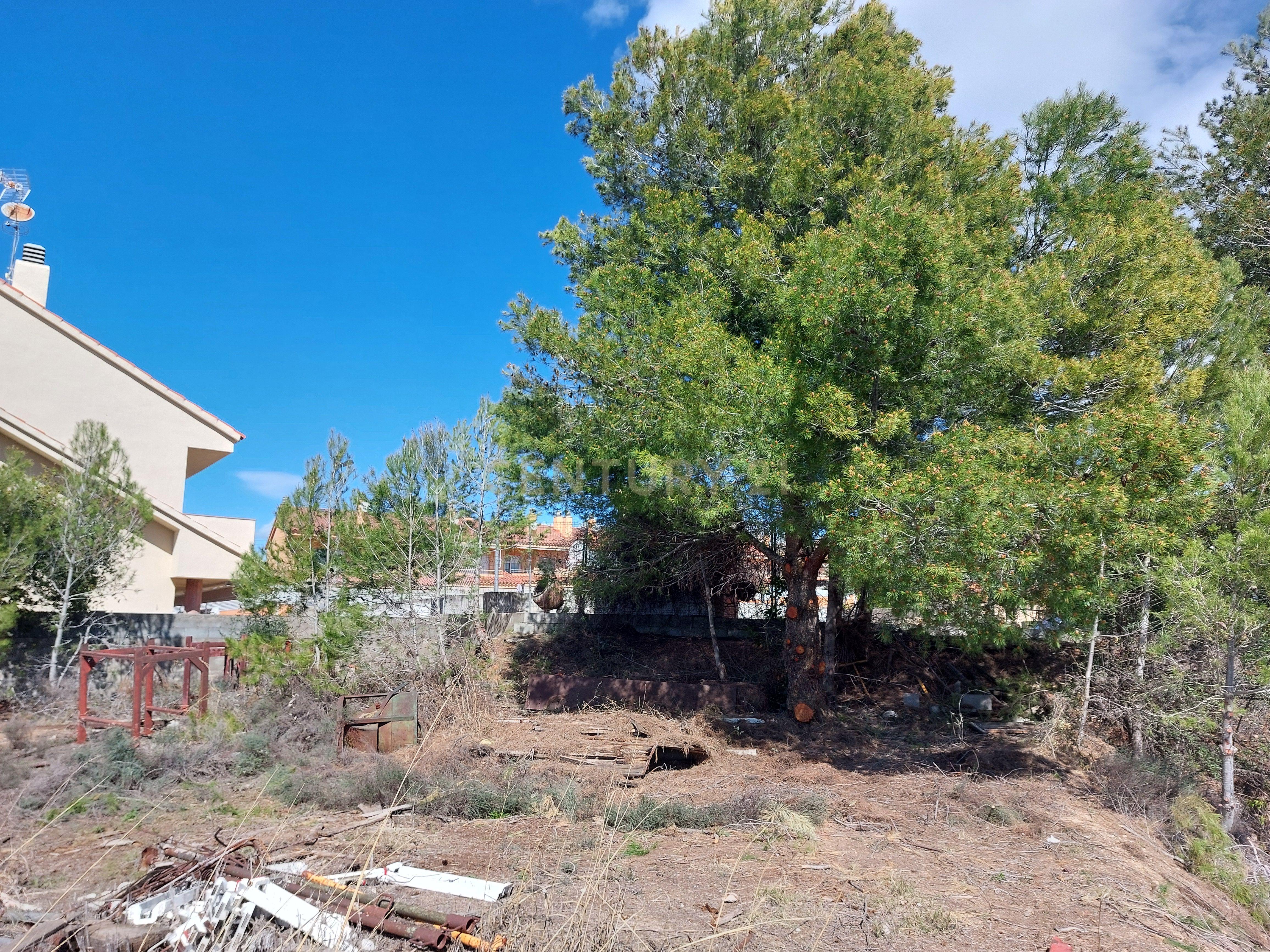 undefined - Image 18