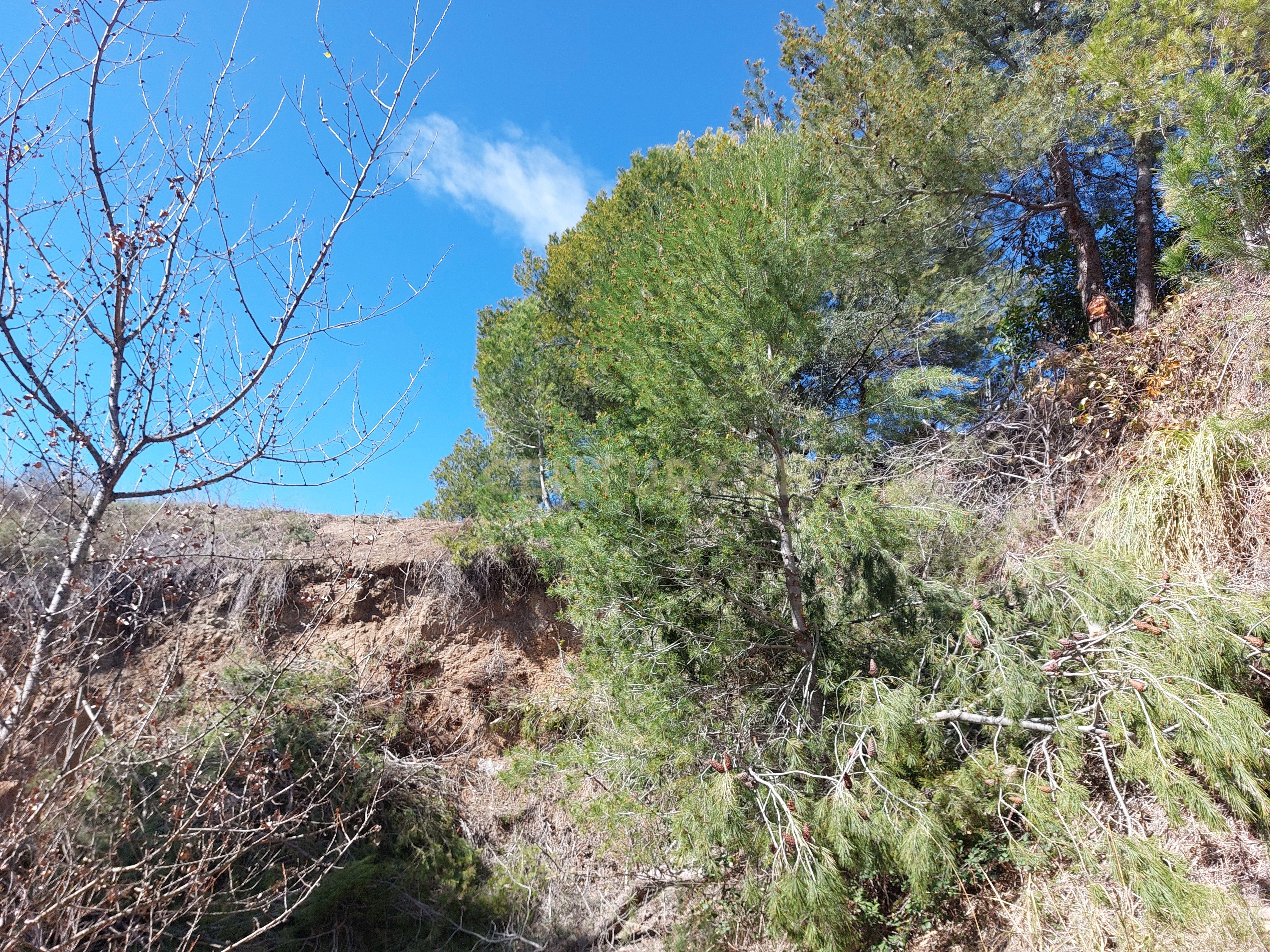 undefined - Image 8
