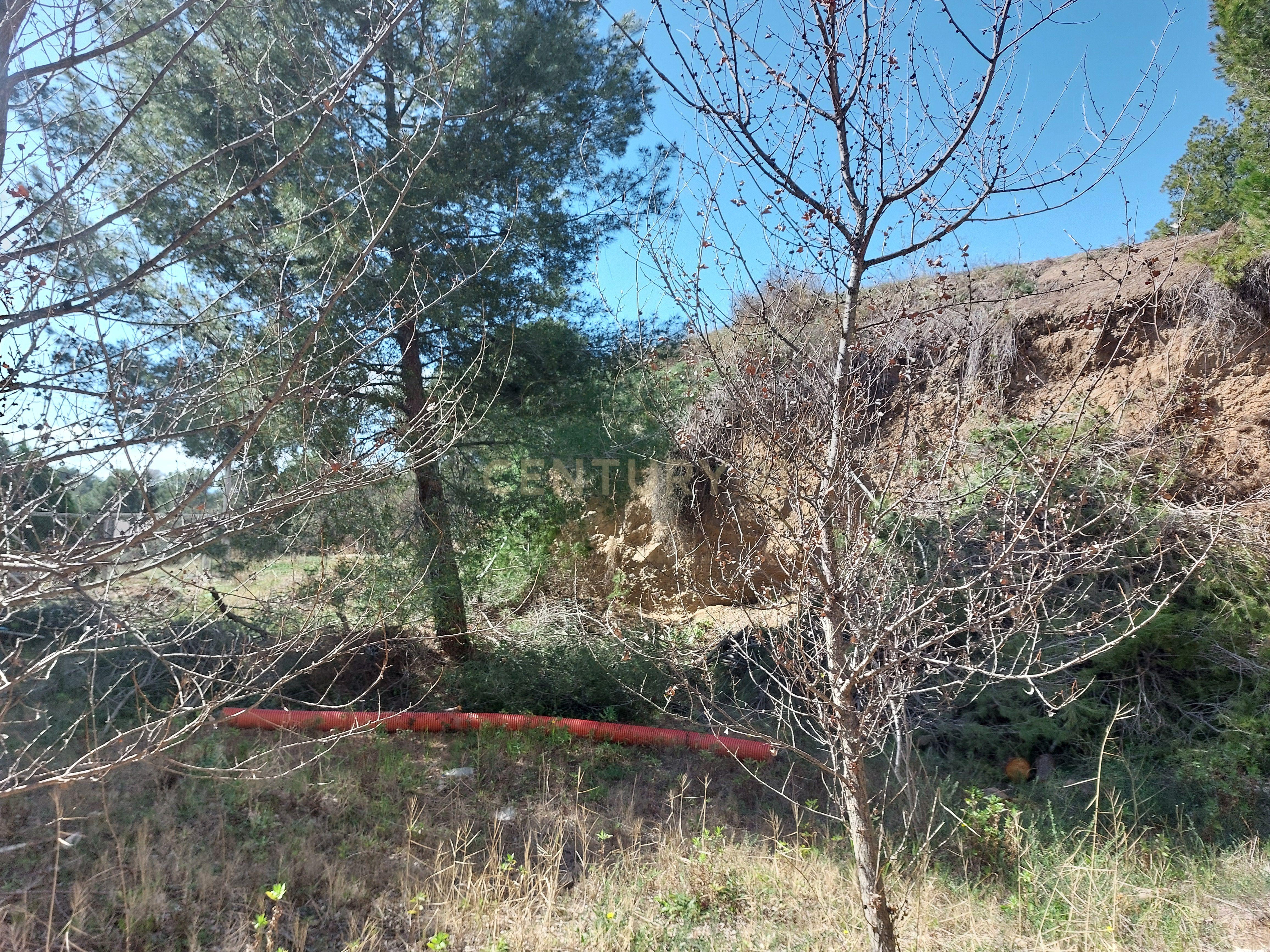 undefined - Image 20
