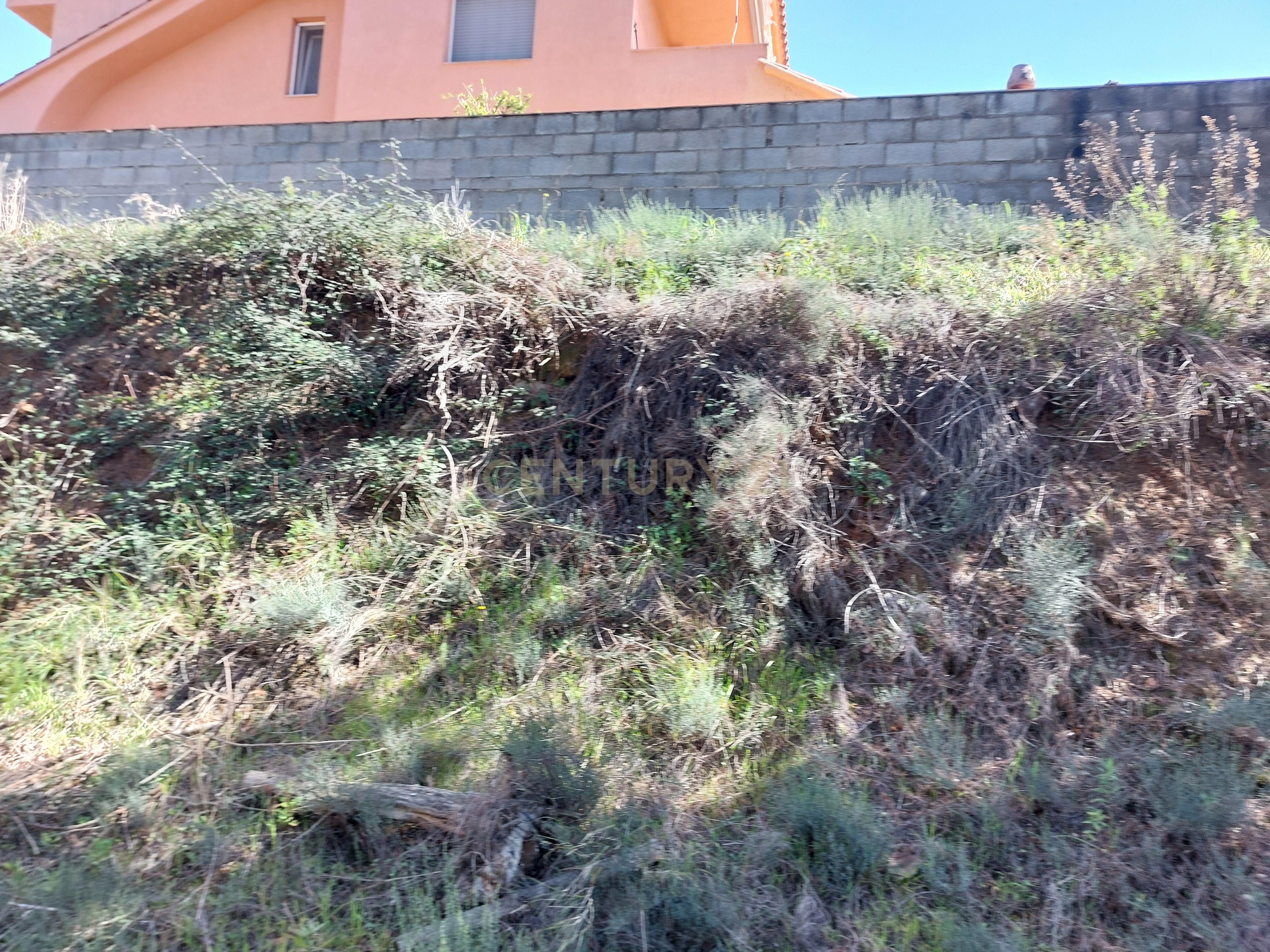 undefined - Image 11