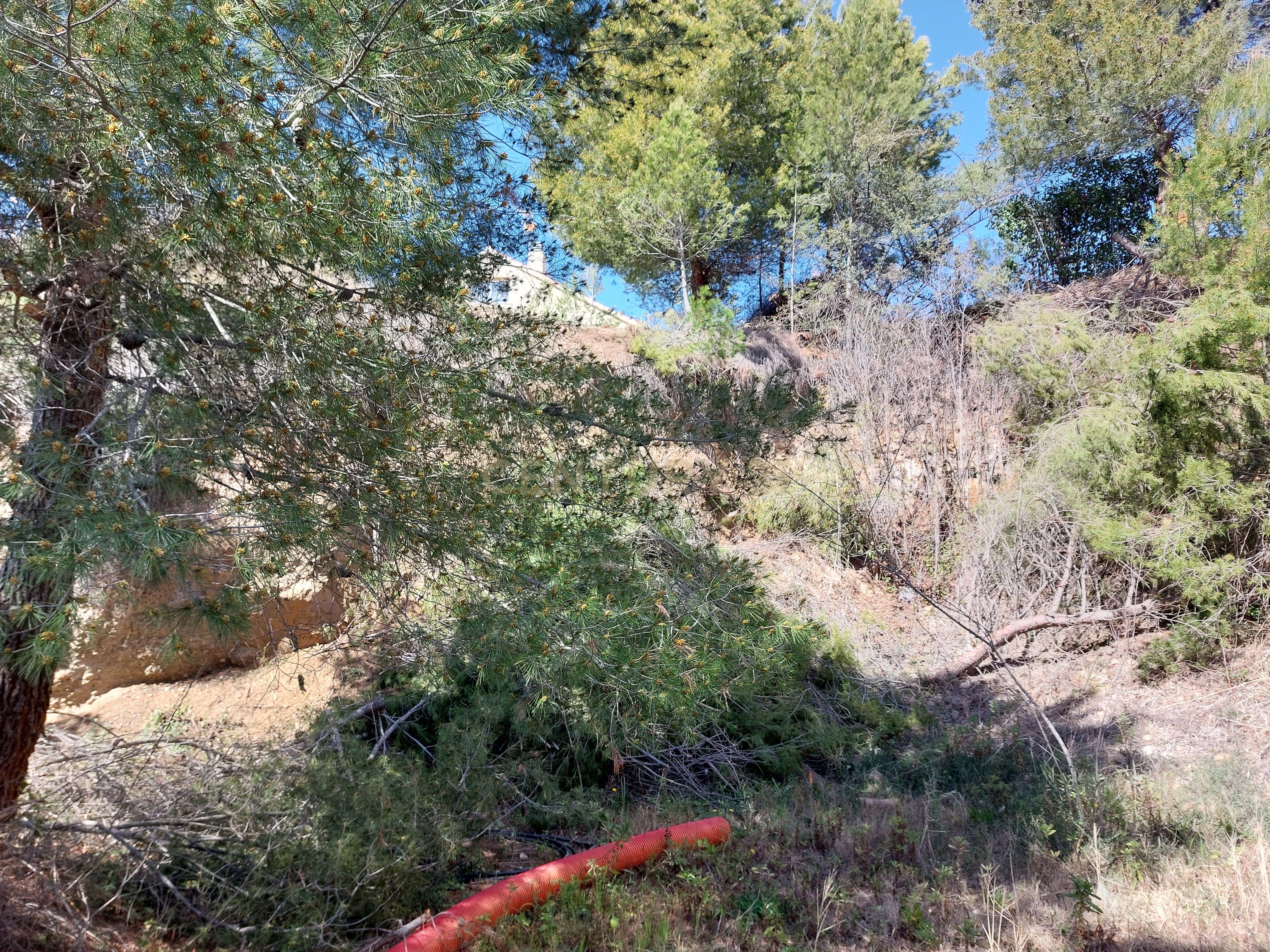 undefined - Image 19
