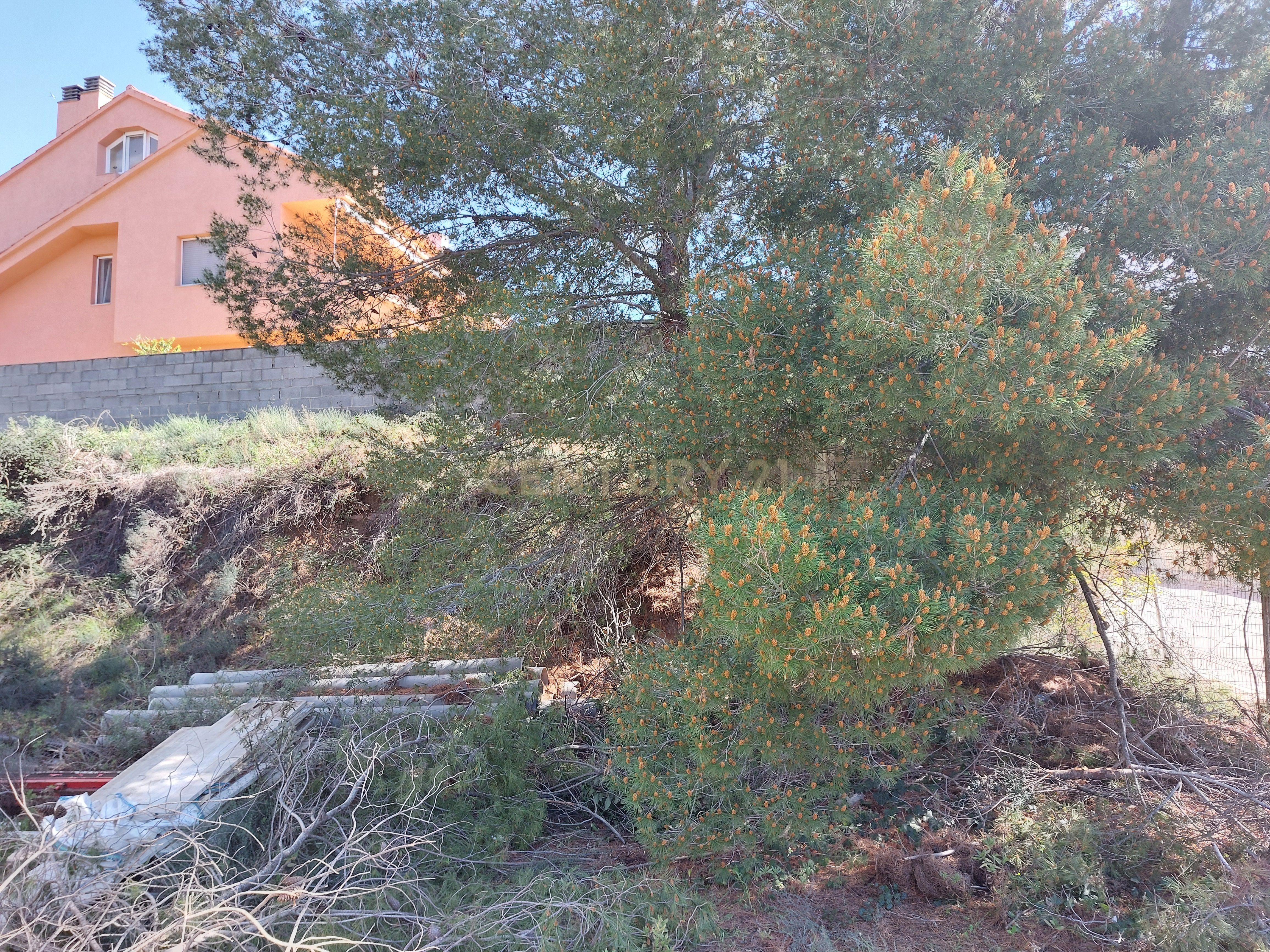 undefined - Image 6