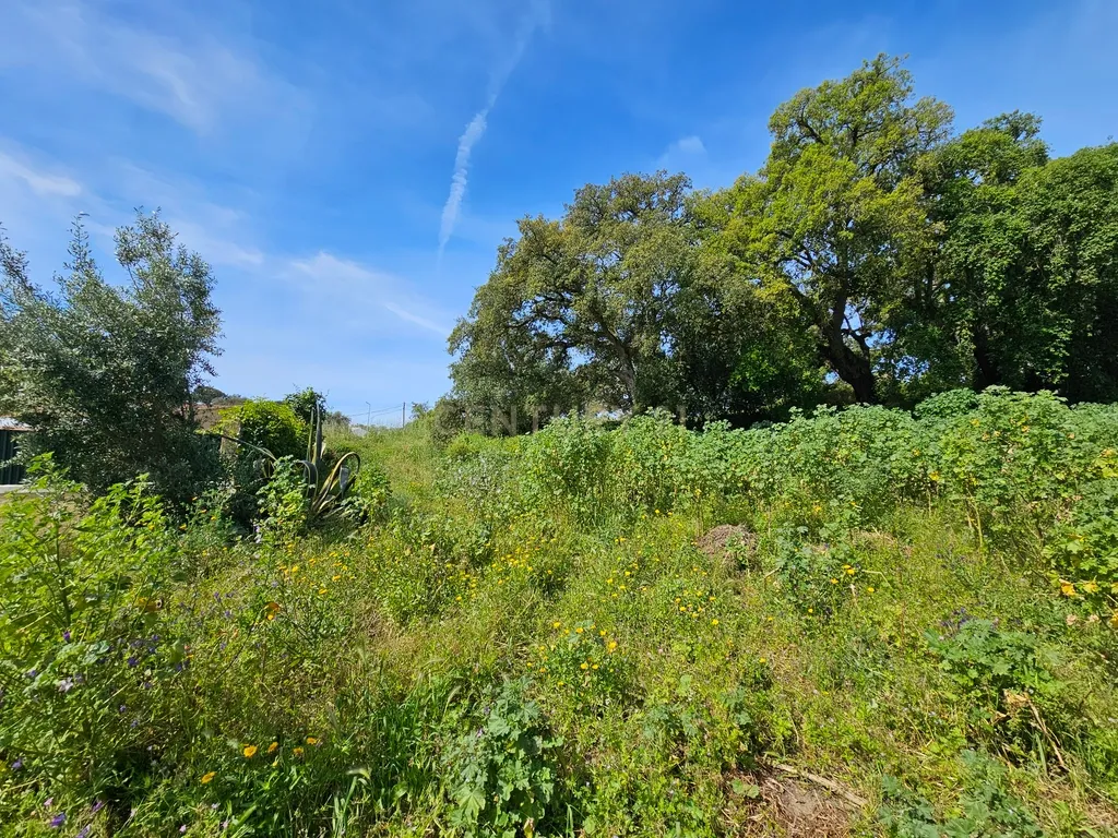 Lote de Terreno Urbano com 238m² para construção de moradia - Image 3