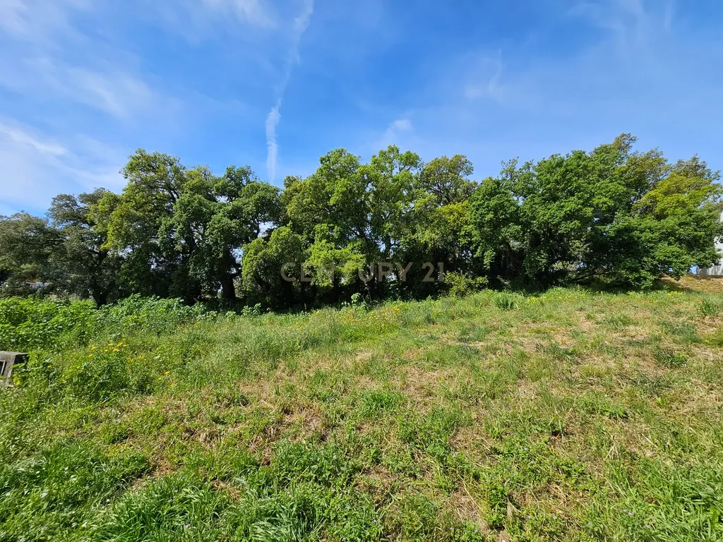 Lote de Terreno Urbano com 238m² para construção de moradia - Image 2