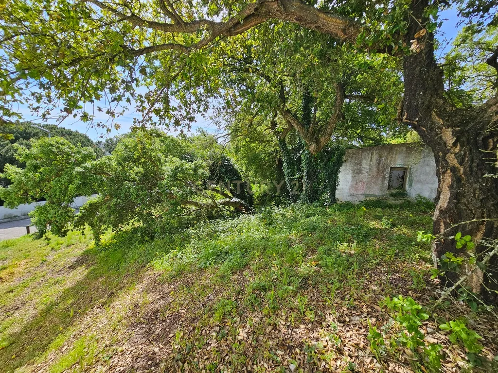 Lote de Terreno Urbano com 238m² para construção de moradia - Image 5