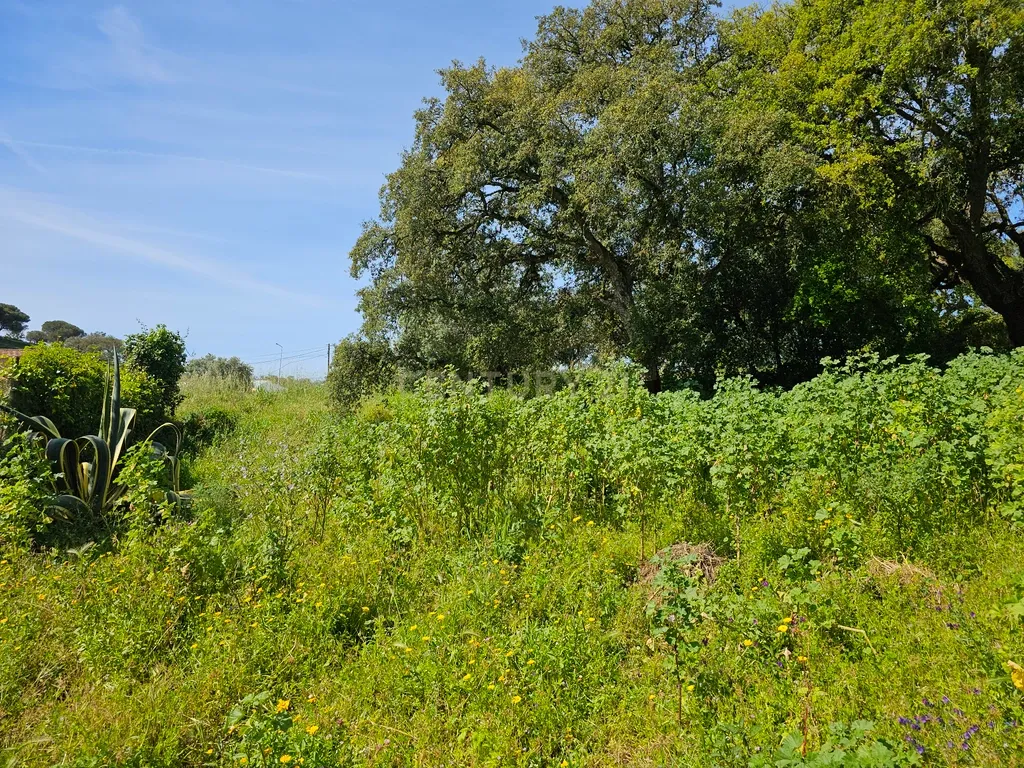 Lote de Terreno Urbano com 238m² para construção de moradia - Image 7
