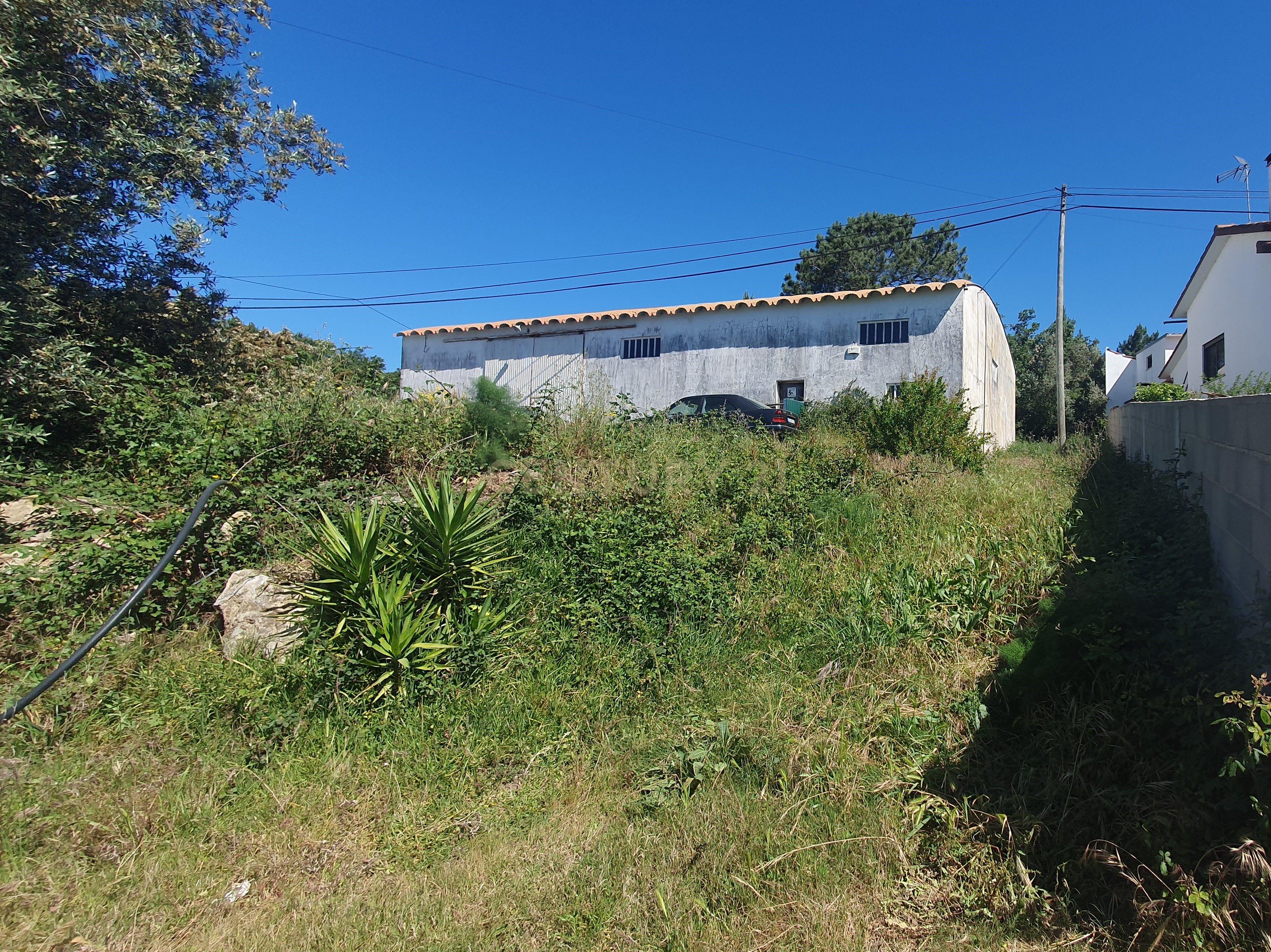 Pavilhão com Logradouro Lagoa do Cão - Aljubarrota - Image 5