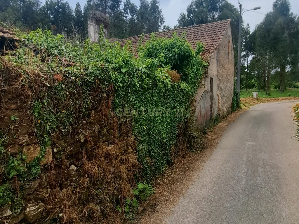 Quinta para venda em Paio Mendes - Ferreira do Zezere - Image 4