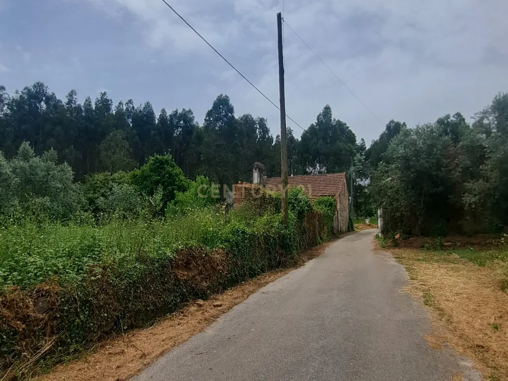 Quinta para venda em Paio Mendes - Ferreira do Zezere - Image 5
