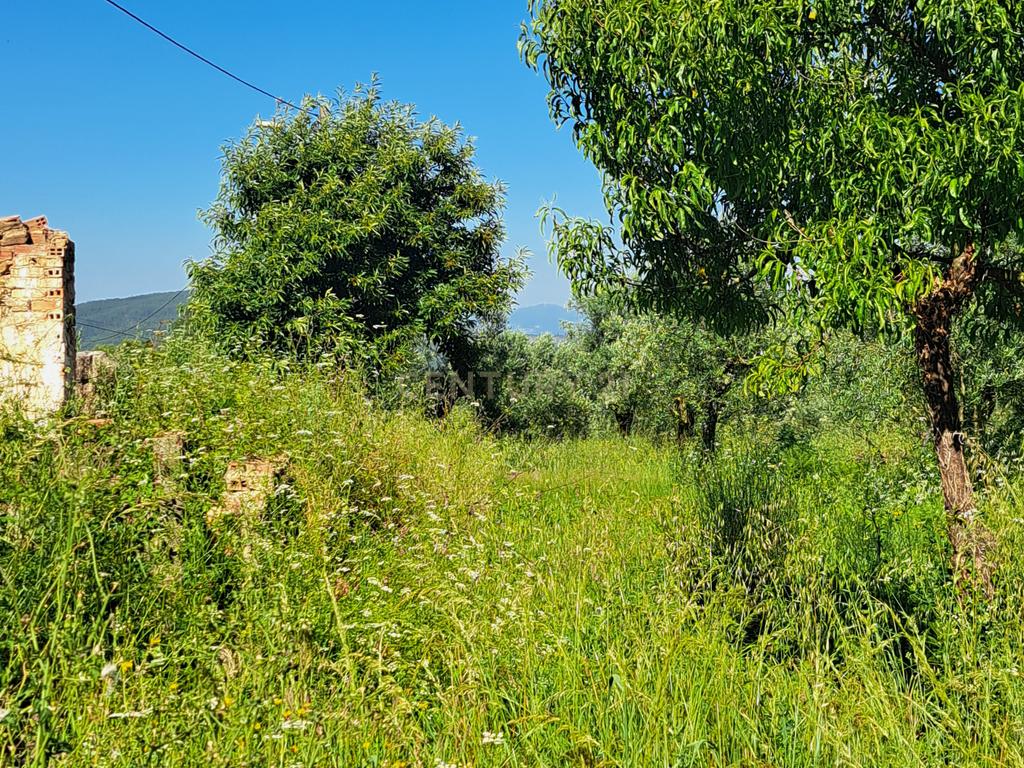 Quinta para venda em Paio Mendes - Ferreira do Zezere - Image 11