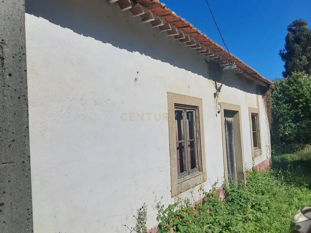 Quinta para venda em Paio Mendes - Ferreira do Zezere - Image 3