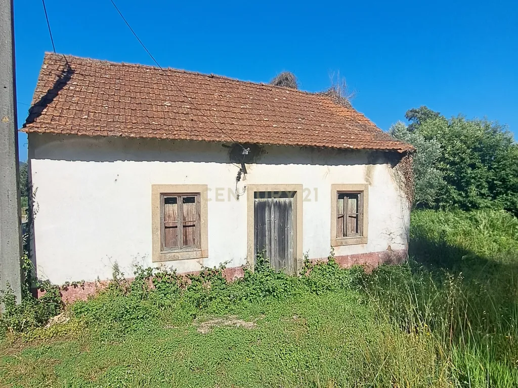 Quinta para venda em Paio Mendes - Ferreira do Zezere - Image 2