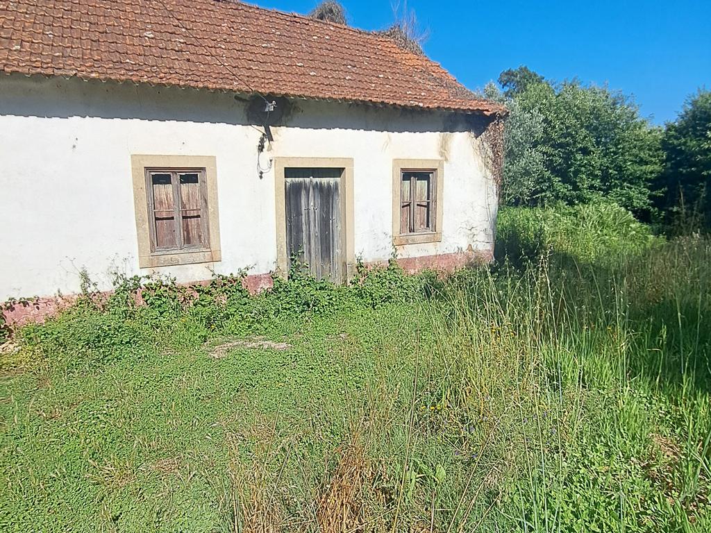 Quinta para venda em Paio Mendes - Ferreira do Zezere - Image 7