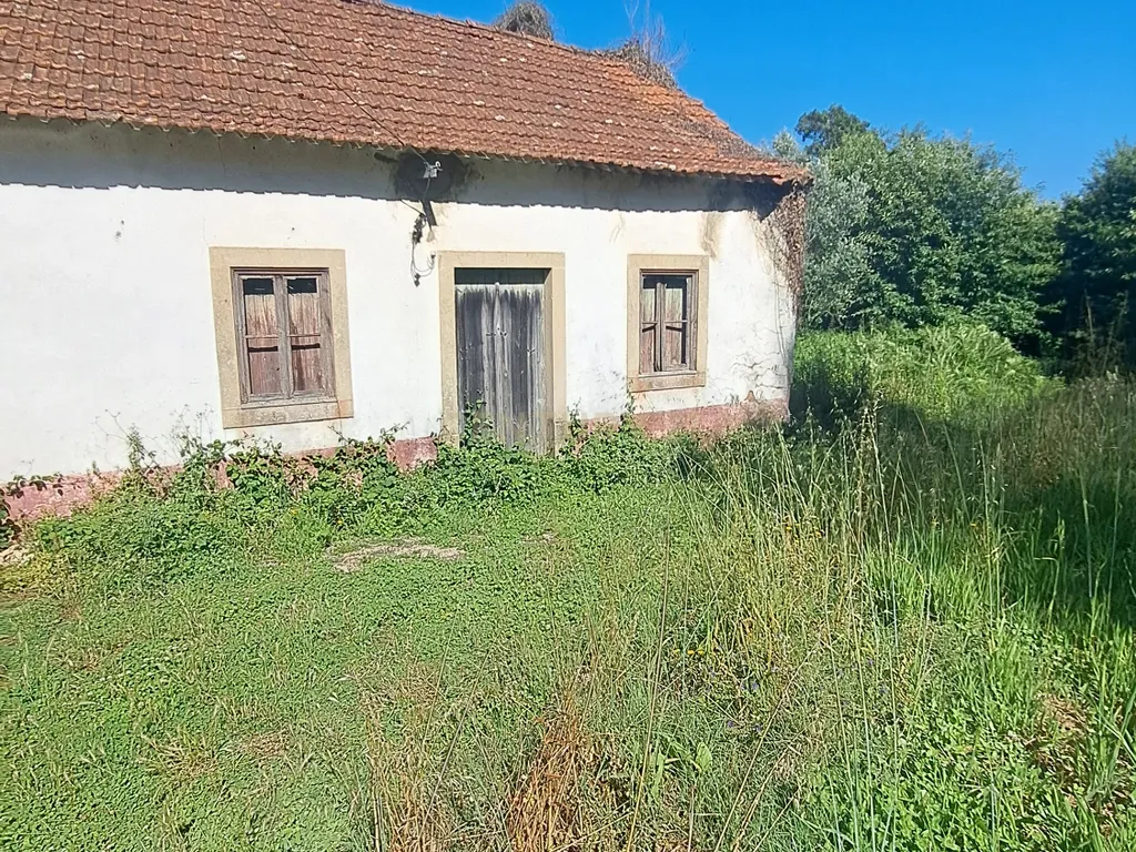 Quinta para venda em Paio Mendes - Ferreira do Zezere - Image 7