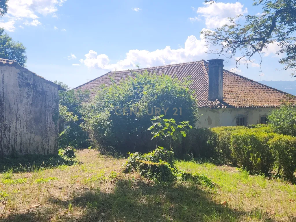Casa do Castelo - Tondela - Image 24