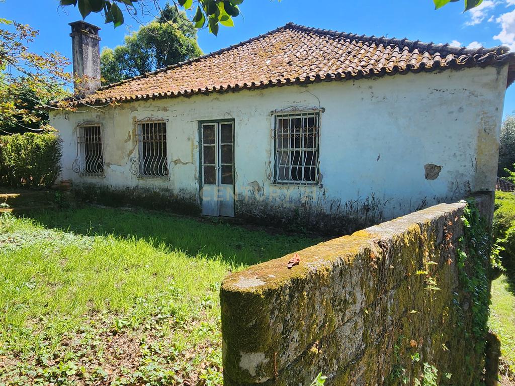 Casa do Castelo - Tondela - Image 23