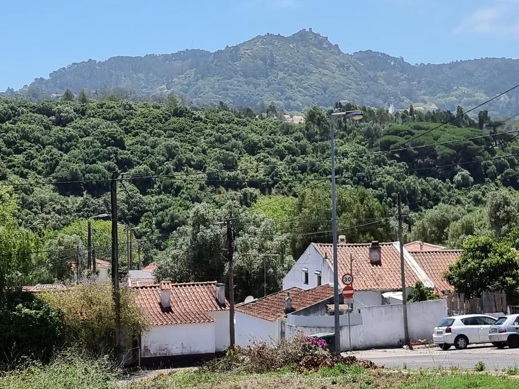Sintra - Cabriz, terreno Urbano com 722m2 para construção de moradia - Image 1