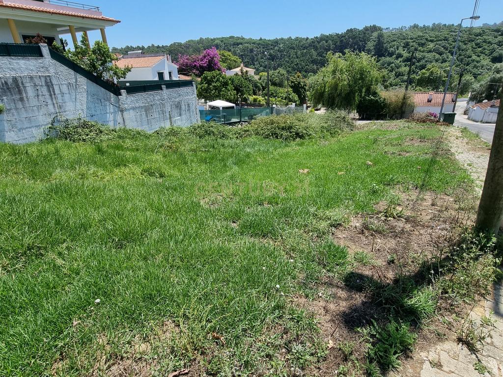 Sintra - Cabriz, terreno Urbano com 722m2 para construção de moradia - Image 4
