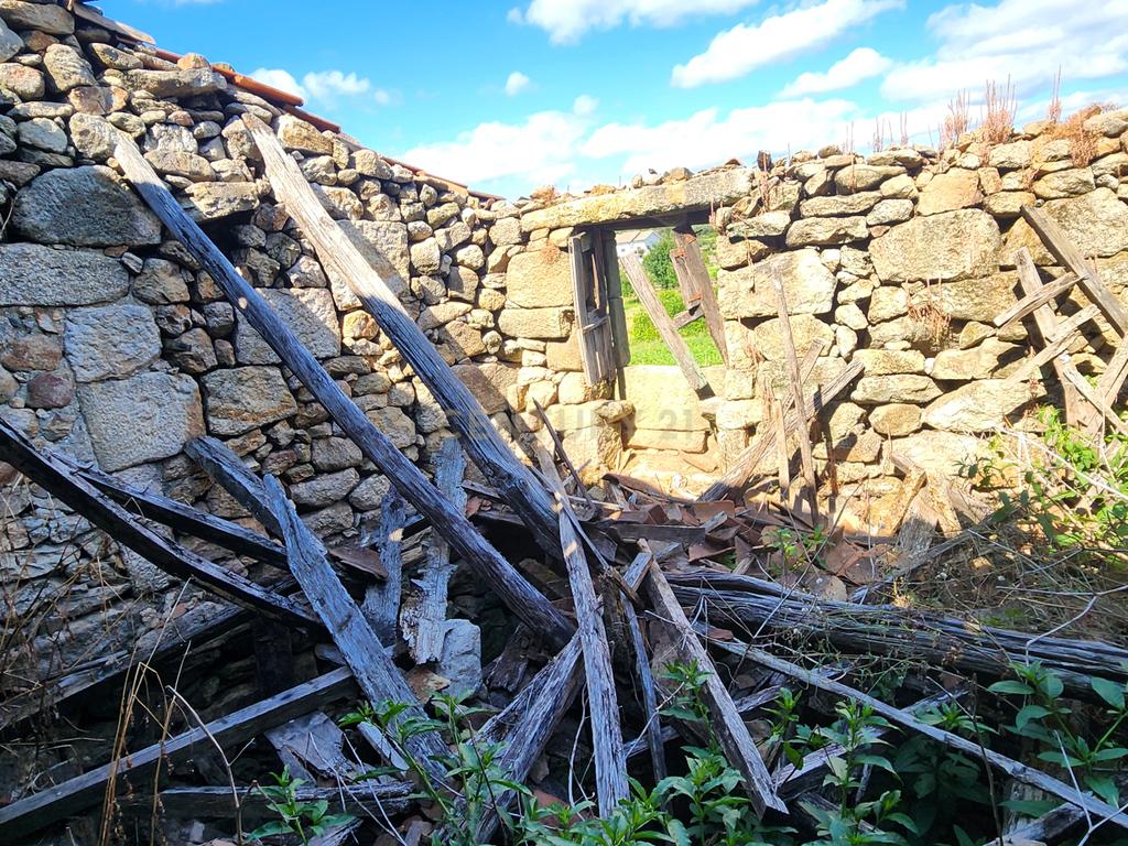 Moradia para reconstruir em Coutos de Viseu - Image 4