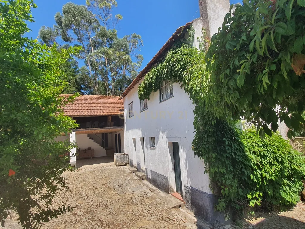 QUINTA com casa de 120 ANOS para HOTEL de charme a 4 minutos da NASCENTE do RIO LIZ em Leiria - Image 63