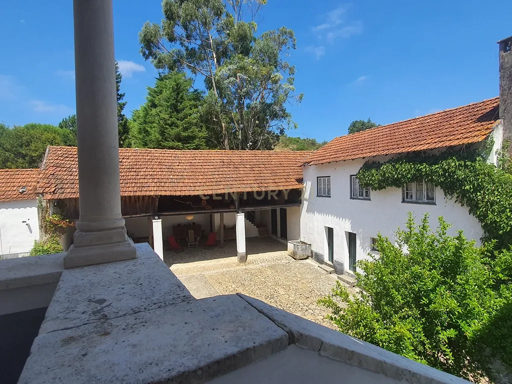 QUINTA com casa de 120 ANOS para HOTEL de charme a 4 minutos da NASCENTE do RIO LIZ em Leiria - Image 54