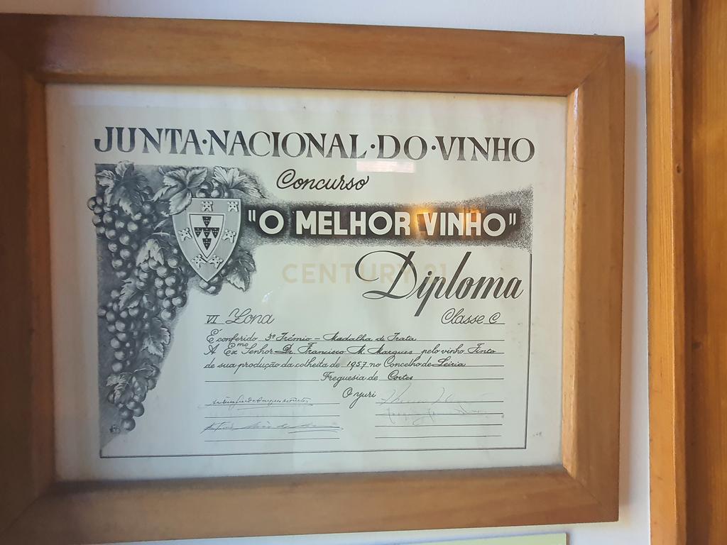 QUINTA com casa de 120 ANOS para HOTEL de charme a 4 minutos da NASCENTE do RIO LIZ em Leiria - Image 31