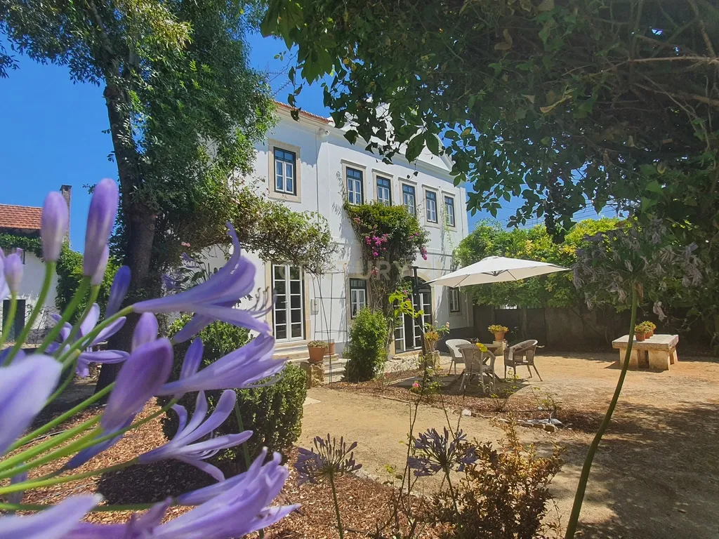 QUINTA com casa de 120 ANOS para HOTEL de charme a 4 minutos da NASCENTE do RIO LIZ em Leiria - Image 23