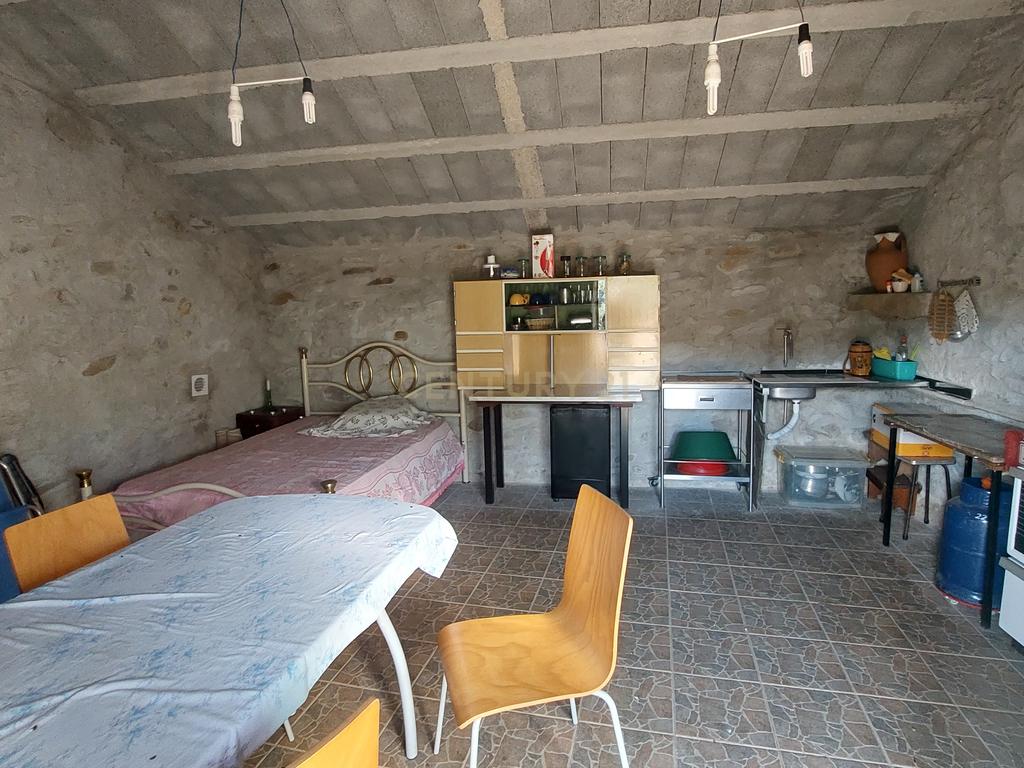 Terreno Rústico com Construção em Penha Garcia - Image 19