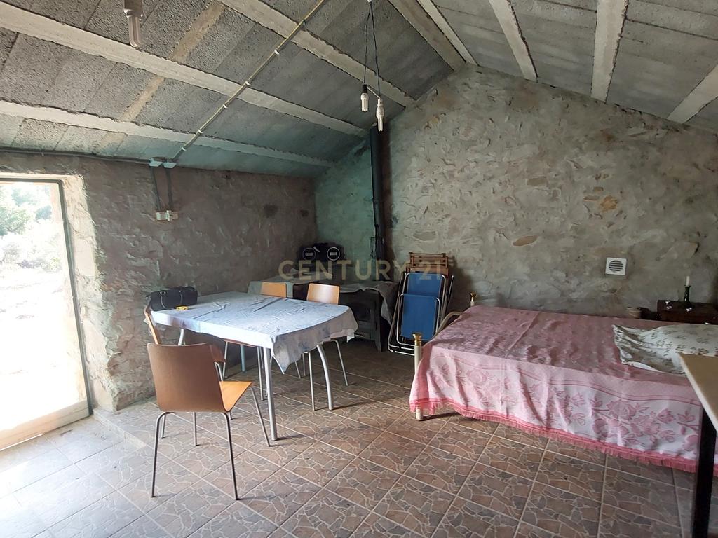 Terreno Rústico com Construção em Penha Garcia - Image 23