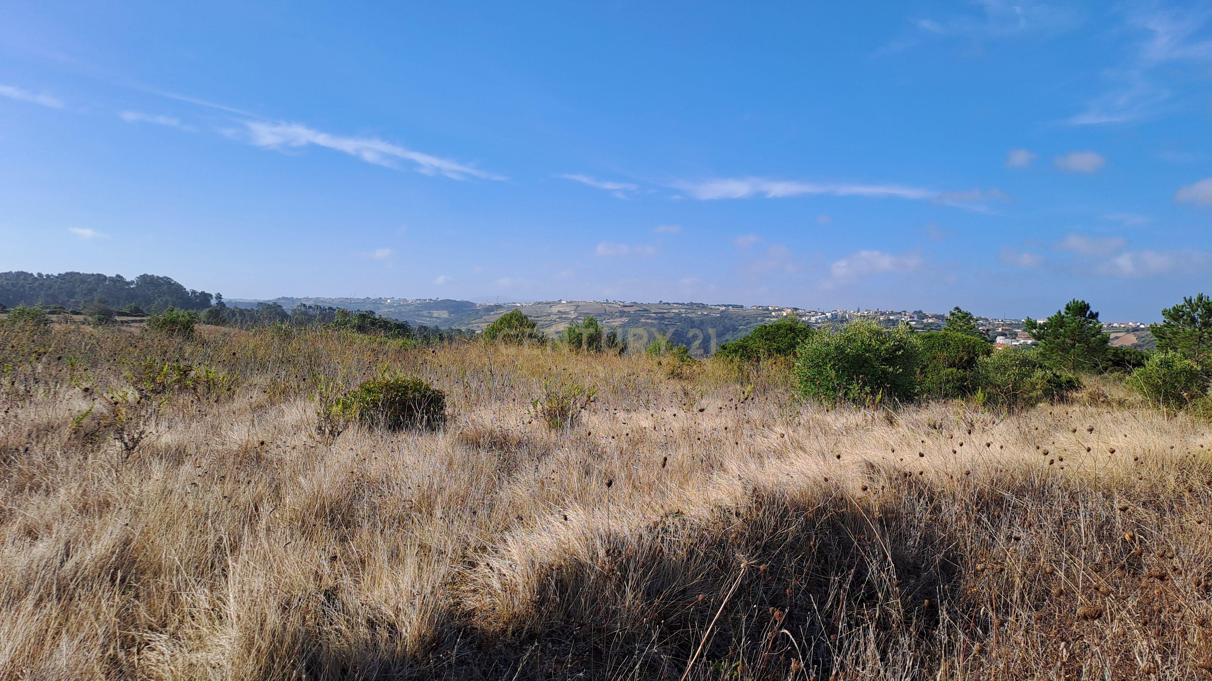 Terreno Rústico com Vista Panorâmica – Forte do Zambujal, Mafra - Image 2