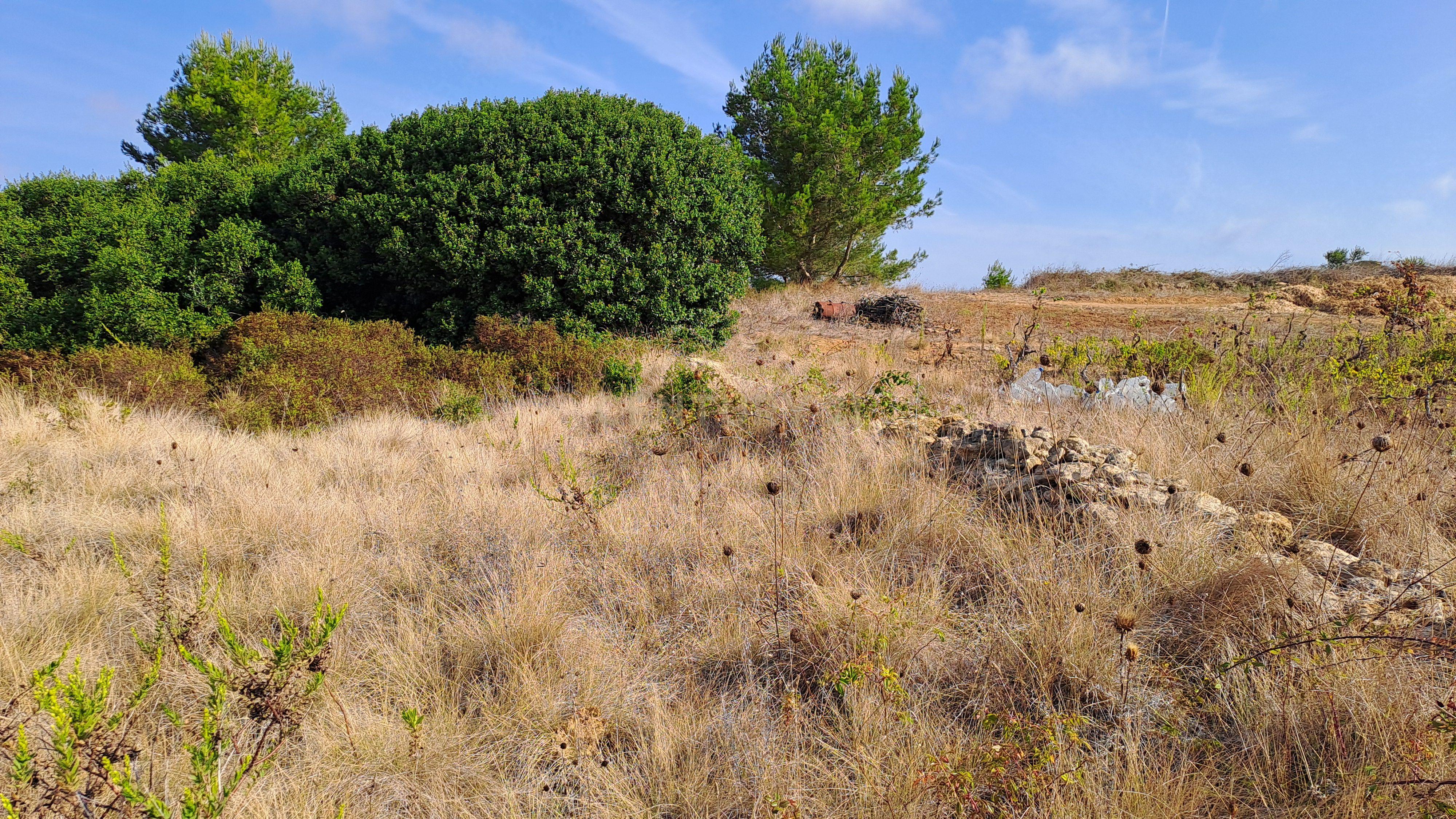 Terreno Rústico com Vista Panorâmica – Forte do Zambujal, Mafra - Image 5